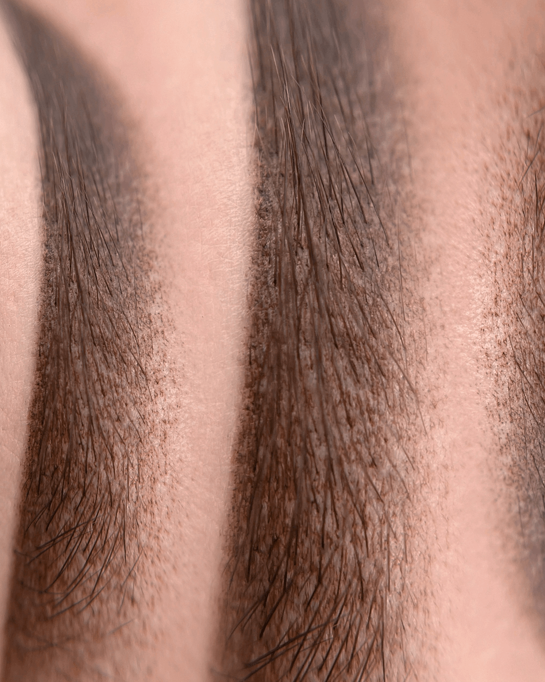 eyebrows (1)