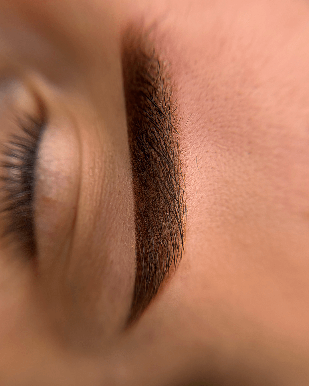 eyebrows (14)