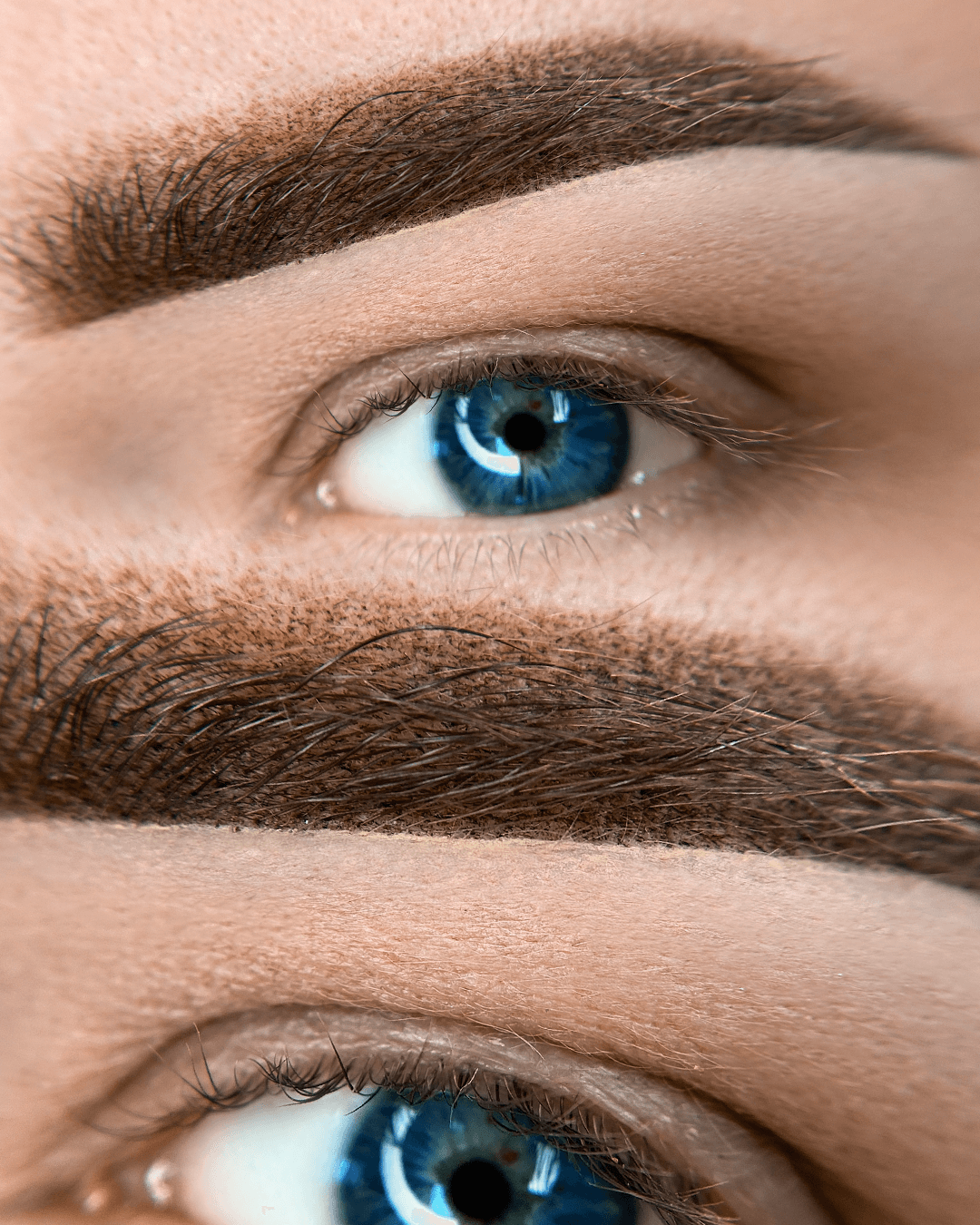 eyebrows (2)