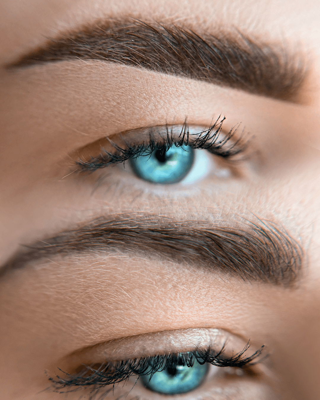 eyebrows (4)