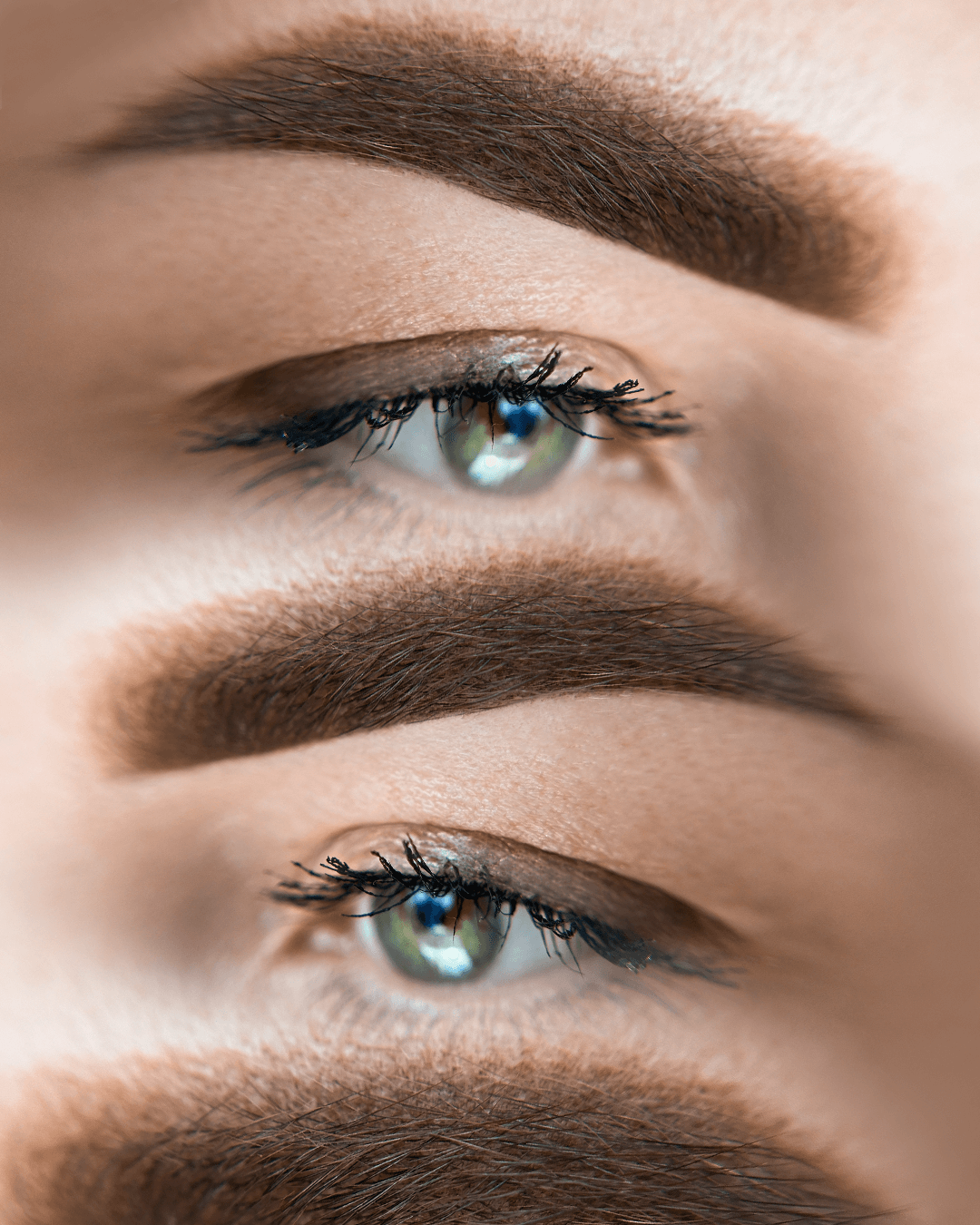eyebrows (5)
