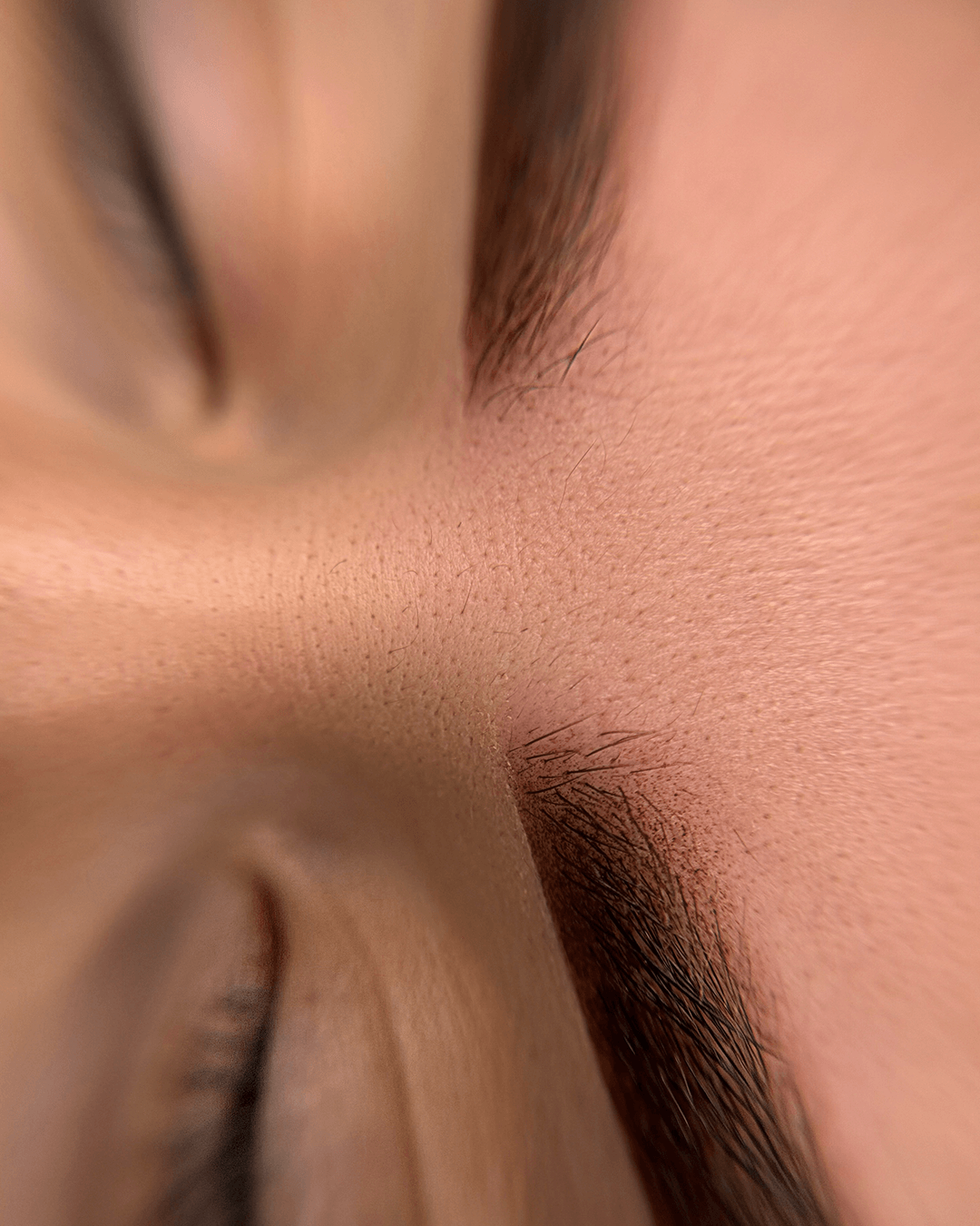 eyebrows (6)