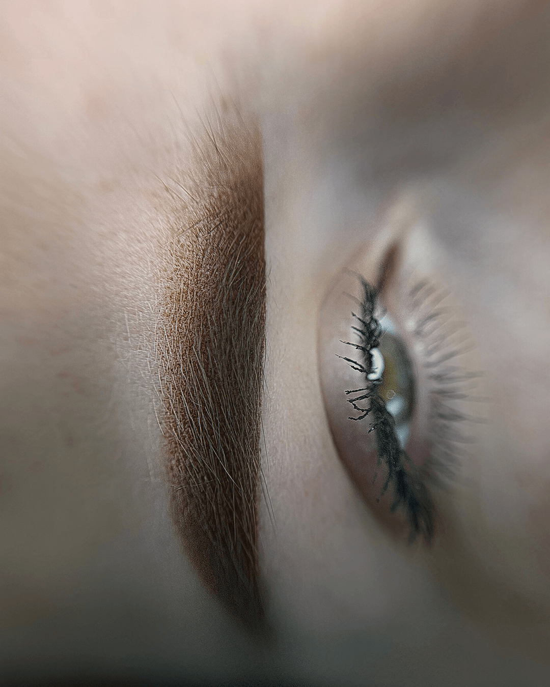 eyebrows (7)